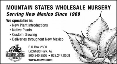 Mountain States Wholesale Nursery